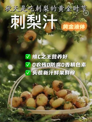 天然VC,一口提神!贵州深山的刺梨,健康好滋味 #丰收的味道在抖音  #刺梨汁  #贵州dou知道  #三农  #丰收的季节 
