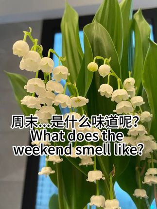 周末...是什么味道呢? #香水 #持久留香 #梅森马吉拉 #孙颖莎 #慵懒周末