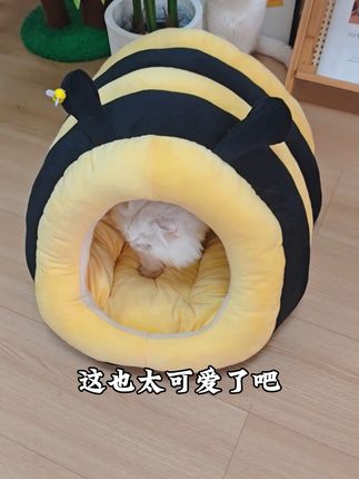 谁能拒绝一只 “钻进蜂巢” 的小猫咪? 可拆卸清洗的内胆设计,脏了直接拆洗,轻松保持窝内干净卫生,避免细菌滋,从奶猫到成年大猫,都能在 “蜂巢” 里找到舒适姿势,让猫咪冬天也能拥有甜甜的 “蜂蜜味” 睡眠。#猫窝 #狗狗#双十一必买 #养猫用品推荐