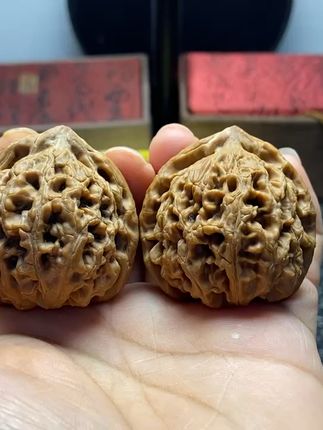 水龙纹狮子头,传承经典,老品种狮子头等你来品! 想买好东西却没合适渠道?这款文玩核桃帮你解决难题!#文玩#文玩核桃#盘核桃#文玩爱好者#万物皆可盘