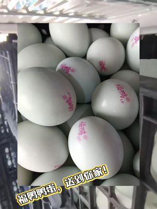 绝了!福鸭咸鸭蛋包邮到家太香了 福鸭鸭蛋,咸香适口起沙流油! 不容错过,值得购买!