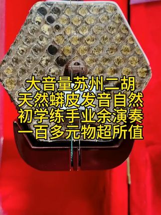 孩子学二胡就选这款!音色纯正,大人小孩都适用 想学习民族音乐却不知咋入门?这款乐器帮你搞定!#夏日度假必备好物#各地cos玩家已解锁新装备
