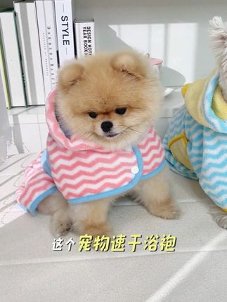 养狗人快去买这个宠物浴袍,缩短擦拭吹毛时间,快冲快冲!!! #狗狗浴袍 