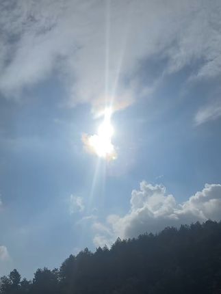 脆嫩清甜!贵州农家现摘小南瓜,尝鲜必备! 今天又是一个忙碌的一天!#农家菜园 #我的乡村生活 #摘菜了