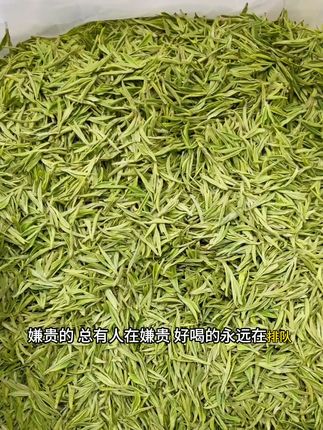 春日限定!新鲜安吉白茶,一口鲜爽唤醒味蕾! 想买正宗好茶却不知咋选?这款高品质茶叶帮你解决难题!#好物推荐🔥#茶#安吉白茶#送礼佳品#安吉白茶原产地