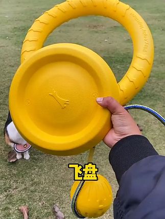 狗狗自嗨不停!咬不烂飞盘让爱宠乐翻天 这个小玩意儿太好玩了!我家小狗很喜欢玩它,出门遛弯带上一个就够了!#狗狗是生活的解药 #狗狗是人类最好的朋友 #宠物出道计划