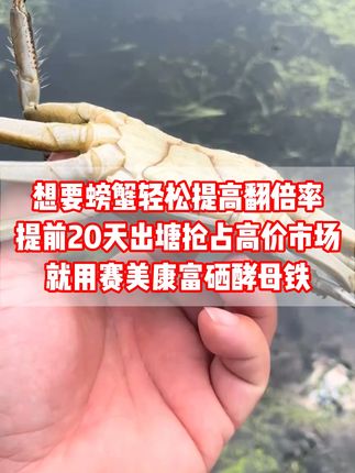 想要螃蟹轻松提高翻倍率,提前20天出塘抢占高价市场,就用赛美康富硒酵母铁。#水产养殖 #水产人 #鱼虾蟹养殖 #水产养殖技术