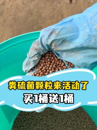 华畜粪硫菌,改底调水好帮手 #鱼虾蟹养殖 #南美白对虾 #水产养殖 #三农 #高密度养殖
