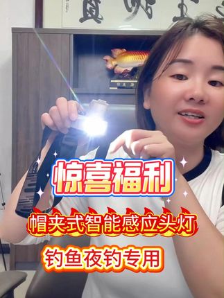 国庆惊喜福利#帽夹式智能感应钓鱼头灯# 夜钓不再黑 智能感应头灯照亮你的每一步!