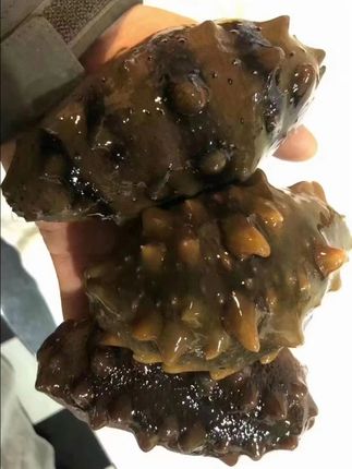 即食海参,滋补养生,轻松享美味! #三大运营商确认提供eSIM服务
