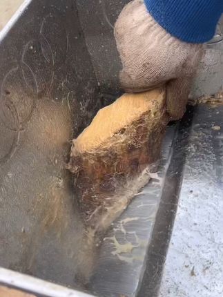 深山葛根粉,传统手工营养好吸收! 入秋了今天又做了葛根粉给大家喝!有需要的朋友赶紧冲吧!!#好物推荐🔥 #葛根粉 #葛根粉的正确吃法 #营养早餐 #代餐
