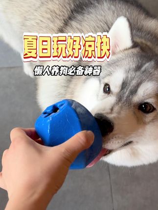 狗狗磨牙神器!再也不怕它乱咬家具了! 这个小玩意儿真的太好玩了!不仅有运费险还可以包邮哦~快来看看吧!!#遇上真牛仔小猫了#当事猫婉拒了它的同款抱枕#救生衣小狗前来报到