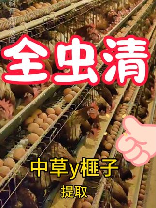 夏季养殖驱虫必备 家禽驱虫效果不好?试试这款驱虫产品!#全驱净 #鸡驱虫 #养殖驱虫 
