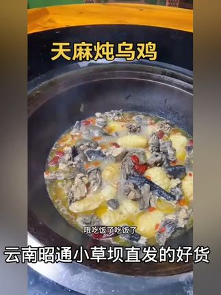 天麻炖鸡,滋补养生,全家人都爱! 今天收了满满一车的新鲜野生菌!有需要的朋友抓紧时间下单啦!#我的七夕不出错清单#七夕吃的不是菜是爱情的保鲜剂#养生浪漫也挤进七夕赛道了