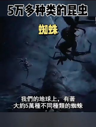 家里蜘蛛到处爬? 家里有蜘蛛在到处结网?让人苦不堪言。无论小黑蛛、大黑蛛。这款喷雾一喷全搞定!#好物推荐🔥 #驱虫喷雾 #家居好物 #蜘蛛