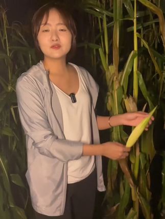 鲜嫩拇指玉米,一口一个太满足! 云南特产玉米来啦!好吃又实惠,喜欢吃的别错过哦~#一口入魂的夏日夜宵#晴天请粉丝搂东北大席#在家自制黄桃罐头#总有一种味道能让你想起故乡#沉浸式捡菌子