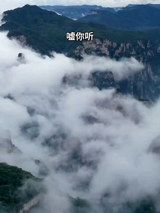 喝过很多种茶叶了,但还是觉得这种茶好喝!口感清爽不苦涩!#莓茶#梅茶#茶#以茶换友#茶叶#晓云霉莓茶#晓云霉