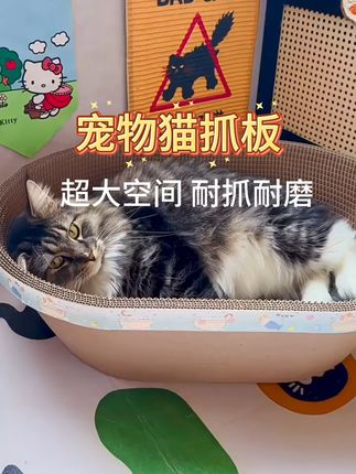 猫咪洗澡不再怕,耐抓猫窝一招搞定! 猫咪爱抓东西又怕它乱抓家具?试试这款好物!#十年果篮无人知一朝猫窝天下识
