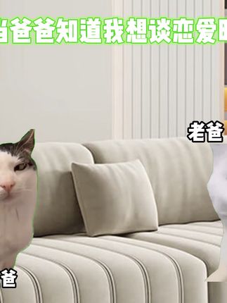 当我和爸爸说想谈恋爱 #猫meme #二次元 #搞笑 #抽象 #手办
