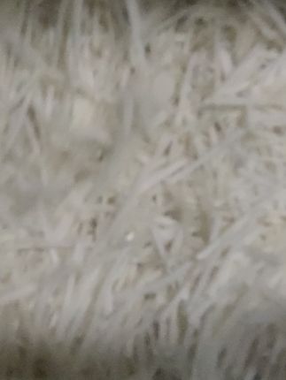 家常下饭菜,手工炒制芥菜丝开胃又解腻! 今天又做了很多小菜,有喜欢吃的吗?评论区留言哦!#临泉芥菜丝#芥菜丝#下饭菜#民间传统美食#最强下饭菜辣椒炒肉