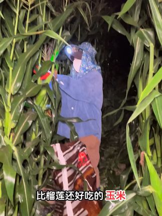 鲜嫩拇指玉米,一口一个太满足! 云南特产玉米来啦!口感软糯香甜、配料干净吃着放心!#马立奥有多喜欢榴莲#北京夏日限定西瓜酪#老爸评测榴莲#陕西人才懂豆腐烩菜有多香#开到了报恩榴莲