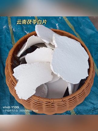 深山阳光晒干 茯苓片泡水好喝又健康! 今天又是一个忙碌的一天!晚上回家吃了一碗汤粉,喝一碗粥,吃了两个小菜,很舒服!#三农#养生#茯苓#滋补养生食材#源头好货