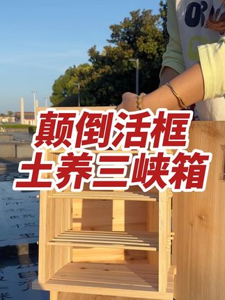 带框竖养蜂箱,送7个活框 #三峡蜂箱 #土养箱 #活框土养 #中蜂箱