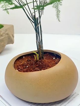 家里角落太单调?这款仿真小草来救场! 家里阳台地面空荡荡没生气?试试这种仿真植物!