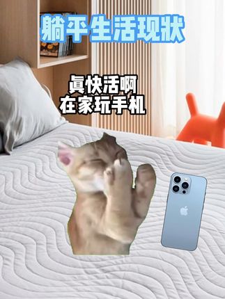在家躺平的生活 #猫meme #猎奇 #手办 #cos ##动漫