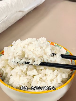 新鲜当季!江南农家新米,软糯香甜,一口难忘! #江苏大米 #粳米 #南粳46 #米饭