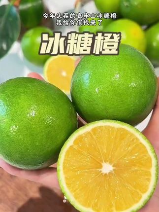 云南哀牢山鲜橙到家!皮薄多汁,包邮尝鲜! 今天下午开始发货了!大家放心下单吧!现在是产地直采、工厂打包、厂家发货。顺丰快递包邮到家!#谁还没吃丝瓜汤#被新农人的打卡视频馋到了#来个洛宁人安利家乡美食#各省丰收战队申请出战#仁面果是岭南人餐桌上的乡愁
