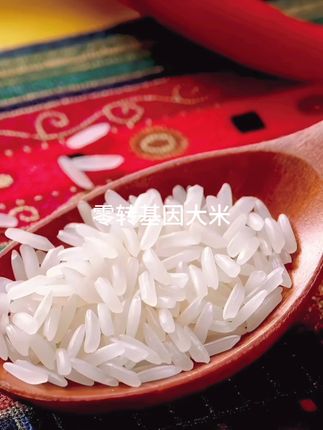 家里做饭就选它!正宗猫牙米真空锁鲜香喷喷 今天又收了满满一车谷子!感谢大家的支持与信任!有需要的朋友点击小黄车下单吧~#糯米糍粑尝尝尝尝#新手0失败的微波炉卡美罗#跟着厚皮橙学做饭#与辉同行甘肃行#再次爱上甜酸茶
