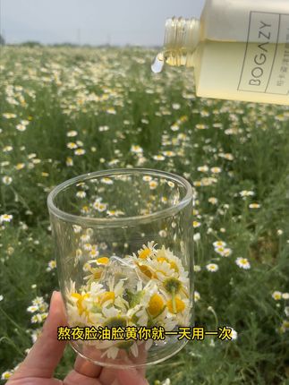 拍一发六!夏季水当当的秘密就是柏卡姿洋甘菊花水 #柏卡姿 #柏卡姿洋甘菊花水 #湿敷水推荐学生平价