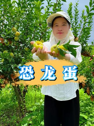 被大家称之为恐龙蛋的黄金奈李,吃起来口感清甜多汁,脆甜可口! #黄金奈李 #优质农产品 #优质水果 @央视三农@抖音小助手