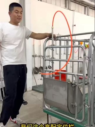 加厚母猪定位栏,欢迎咨询 
