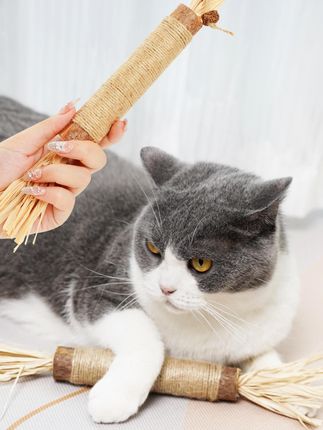 猫咪玩具磨牙棒猫猫木天蓼棒猫零食磨牙小猫磨牙耐磨清口气祛牙垢 这个巨无霸木天蓼小猫咪啃的是真过瘾啊! 又能咬又能玩的超大根木天蓼磨牙棒,难怪猫咪这么喜欢!玩得根本停不下来!#养猫新手 #猫玩具 #聪明的小猫一教就会 #木天蓼磨牙棒 #木天蓼