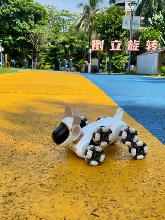 必看八轮机器狗,解锁新奇好玩的玩法 #遥控车  #机械狗  #玩具  #亲子时光