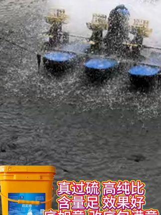 鱼塘水质差?这款过硫改底片让水变清臭味无踪! 养鱼水体发黑、有异味?试试这款产品!#水产养殖 #改底调水