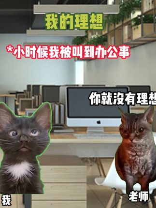 老师问我我的理想 #猫meme  #瓦学弟 #抽象#动漫 #猎奇