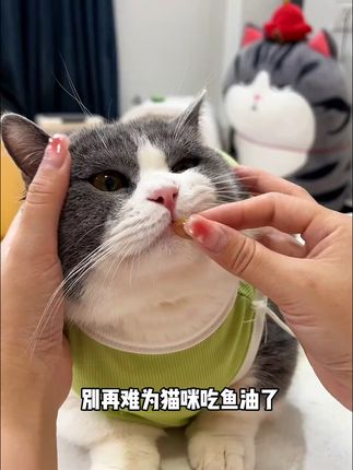 养猫囤它!淡水小鱼干营养足,美毛还包邮,主子超爱! #猫咪#猫零食#猫粮#猫冻干#炫耀一下我的小猫