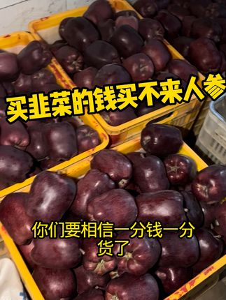 脆甜多汁的花牛苹果,咬一口就停不下来!放心买,有运费险 买韭菜的钱是买不来人参的#天水的苹果 #果农的生活 #中秋国庆动起来 #送礼佳品 