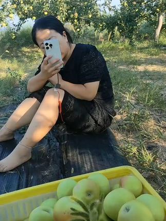 脆甜嘎啦苹果,一口咬下满嘴汁水! 今天又是一个忙碌的一天!就是为朋友们找水果鲜果。生鲜水果,是水果市场找不到的苹果。感谢大家的支持与信任!!#新鲜应季水果 #新鲜采摘 #水果 #脆甜多汁 #一口掉进水果味的夏天
