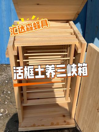 全新升级版活框土养三峡箱只要138迷包邮到手啦 #汇达森蜂具 #养蜂人 #三峡箱 #蜜蜂 