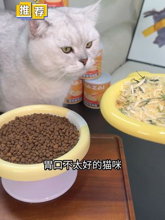 猫咪爱吃停不下来!天然鸡肉冻干拌饭营养又美味 冬天到了,家里的小猫咪也该吃些能清理肠胃、排出体内的东西了!#猫猫算是把日子过明白了#当事猫婉拒了它的同款抱枕#救生衣小狗前来报到#遇上真牛仔小猫了