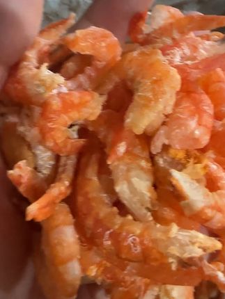 #海鲜#海鲜原产地#海鲜美食#海鲜干货#第一批渔民严选海货已端上餐桌