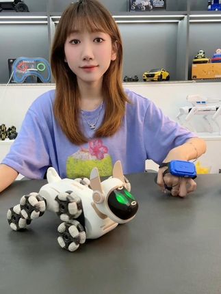 解锁新奇玩法,八轮机器狗欢乐无限 #遥控车 #机械狗 #玩具 #亲子时光