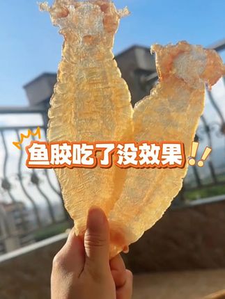 吃鱼胶没效果,到底是哪里出错了 鱼胶的产地和加工方式。产自优质海域,并且经过天然晾晒、无添加的花胶才是我们的首选!#赤嘴鳘鱼胶 #鲜炖花胶 #花胶 #花胶礼盒