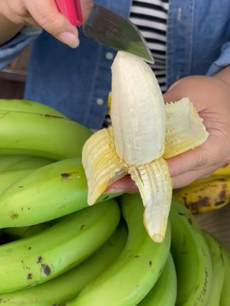 火山土壤孕育的甜蕉,一口咬下全是自然香! 新鲜水果来啦!今天下午四点半开箱尝一尝吧~#老爸评测榴莲#马立奥有多喜欢榴莲#储存猫冬食材之草木灰黄瓜片#东北老式地三鲜才是素菜天花板#开到了报恩榴莲