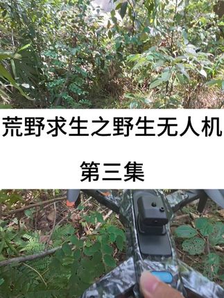 荒野求生之野生无人机之寻龙诀 想体验不一样的视角?这款能远程操控、自动返航的玩具别错过!#无人机 #寻龙诀 #遥控飞机 #荒野求生 #玩个很新的东西
