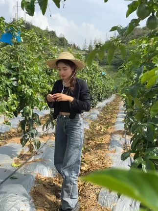 酸甜多汁的百香果来了!云南现摘紫皮百香果新鲜上市 今天又是一个忙碌的一天!感谢大家的支持。